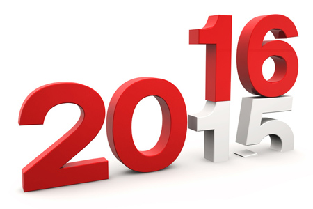Итоги 2015 и планы на 2016